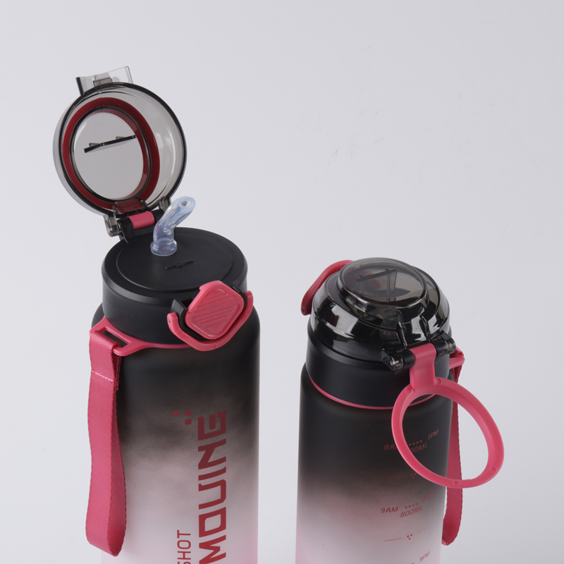 303-1 and 304-1 Gradient-colored plastic water bottle image 2